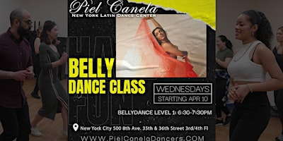 Belly Dance Class, Level 1 Beginner primary image