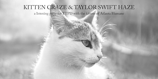 Primaire afbeelding van Kitten Craze & Taylor Swift Haze