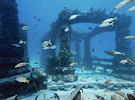 Primaire afbeelding van Join us for appetizers! Learn more about the Neptune Memorial Reef!