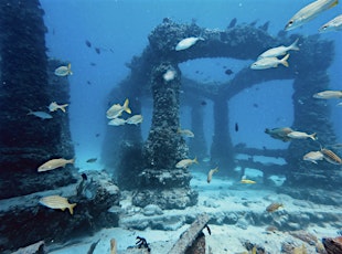 Join us for appetizers! Learn more about the Neptune Memorial Reef!