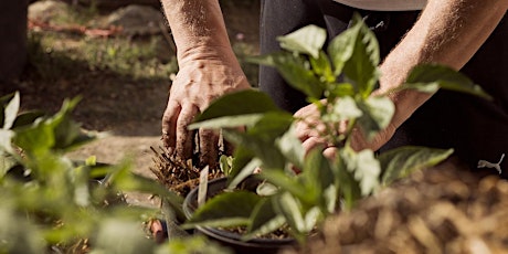 Full STEAM Ahead: Earth Day