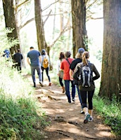 Wild Food & Medicine Hike primary image