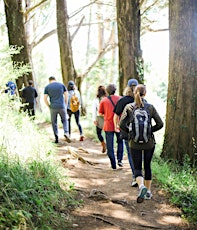 Wild Food & Medicine Hike