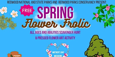 Imagem principal de Spring Flower Frolic