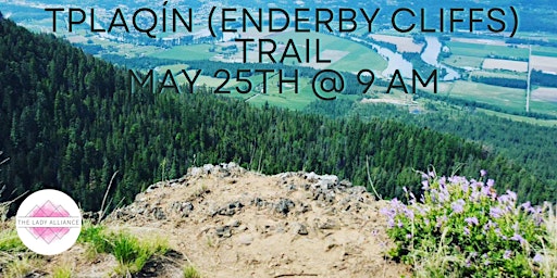 Imagem principal do evento [Okanagan]   Wildflower Wander at Tplaqin (Enderby Cliffs) Trail