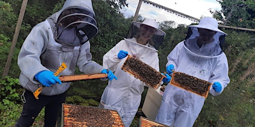 Hauptbild für Practical introduction to beekeeping with TBKA