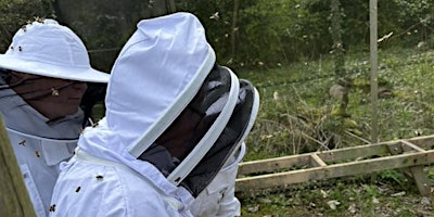 Hauptbild für Practical introduction to beekeeping with TBKA