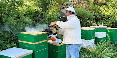 Imagem principal do evento Backyard Beekeeping: Part 2