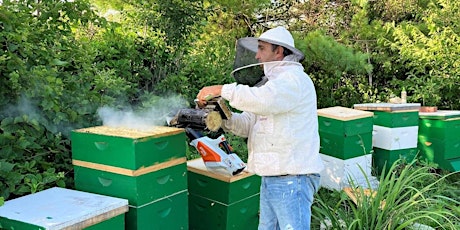Hauptbild für Backyard Beekeeping: Part 2