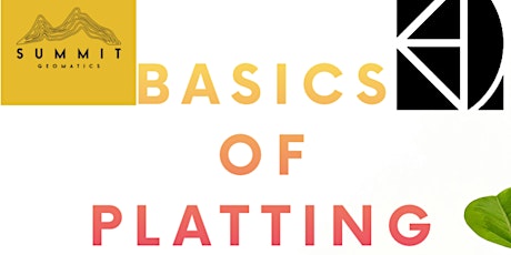 Basics of Platting