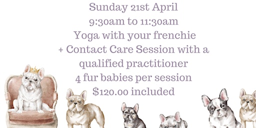 Primaire afbeelding van French Bull Dog Yoga + Contact Care Therapy