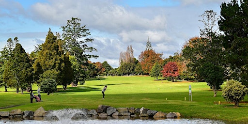 Primaire afbeelding van NZRIA Golf Afternoon