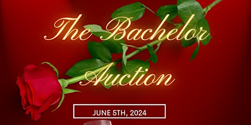 Bachelor Auction primary image