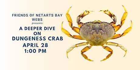 Imagem principal de Deeper Dive: Dungeness Crabs