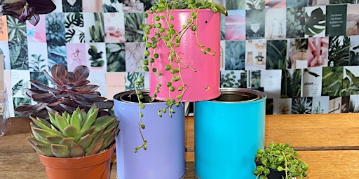 Imagem principal do evento DIY Spring Planter With Cactus & Co.