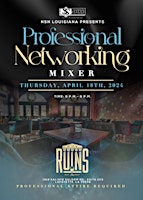 Imagem principal do evento Professional Networking Mixer