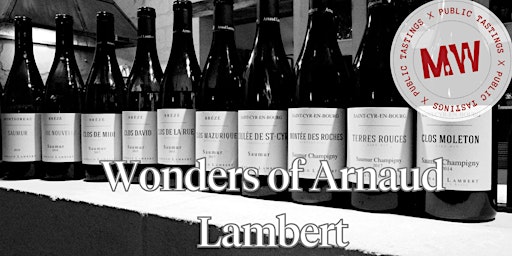 Wonders of Arnaud Lambert primary image