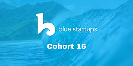 Blue Startups Cohort 16 Virtual Info Session