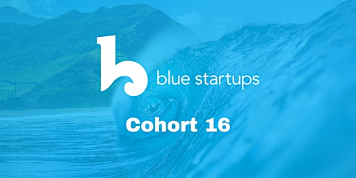Primaire afbeelding van Blue Startups Cohort 16 Virtual Info Session
