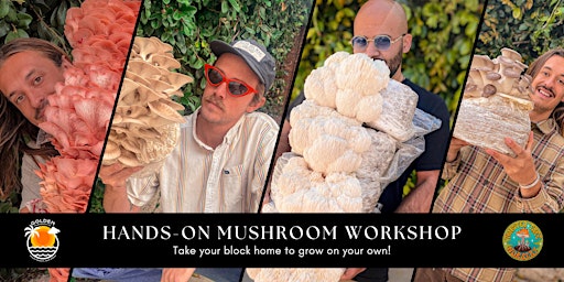 Imagem principal do evento Hands-On Mushroom Workshop!