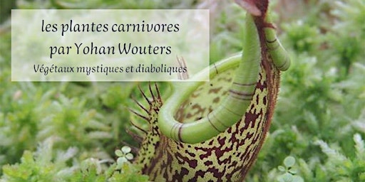 Les Plantes Carnivores. Ces végétaux mystiques et diaboliques primary image