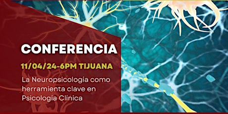 Primaire afbeelding van La Neuropsicología como herramienta clave en Psicología Clínica
