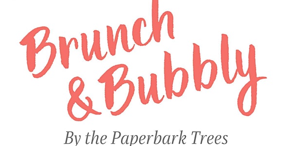 Brunch & Bubbly by the Paper Bark Trees