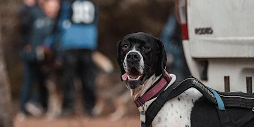 WA Sleddog Sports Association Beginners Weekend Course primary image