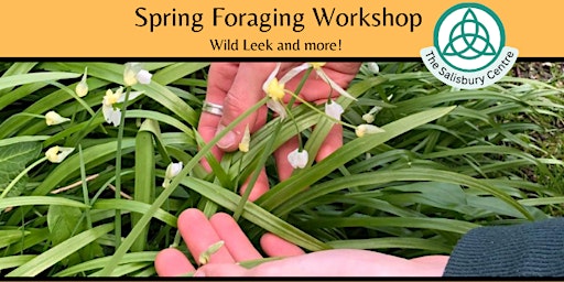 Image principale de Spring Foraging Workshop
