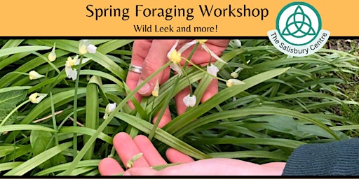 Primaire afbeelding van Spring Foraging Workshop