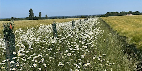 Hope Farm Agroforestry Tour