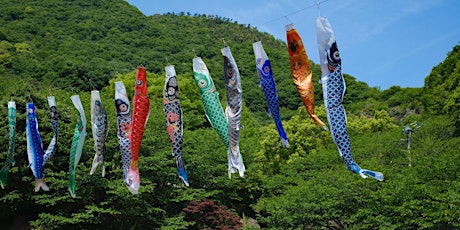Immagine principale di KOINOBORI, LE CARPE VOLANTI 