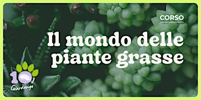 Il mondo delle piante grasse - Corso  primärbild