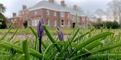 Imagem principal de Betley Court Bluebell Walk 2024 (Sat)