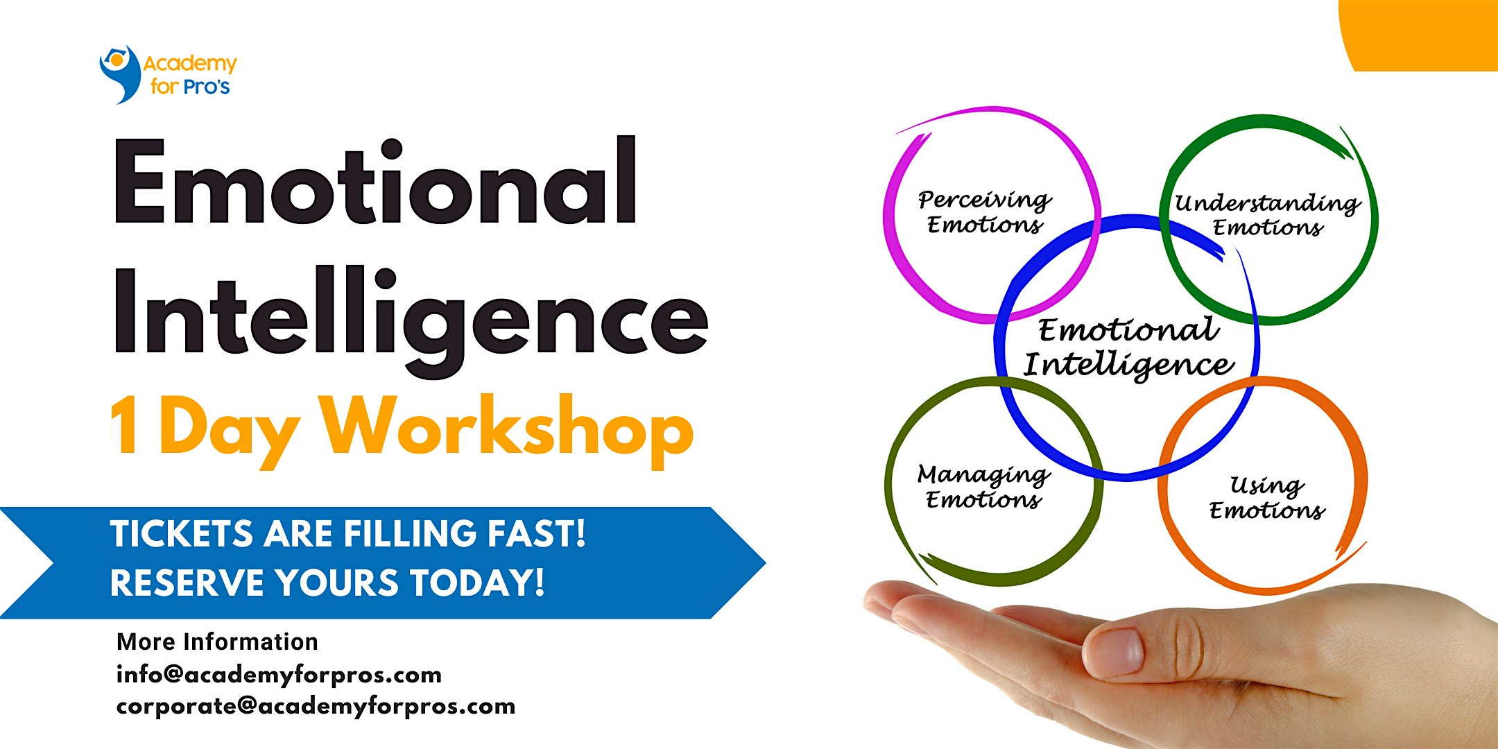 Emotional Intelligence 1 Day workshop in Albany, NY on Jun 28th, 2024