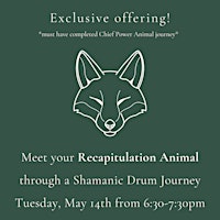 Imagen principal de Shamanic Drum Journey - Recapitulation