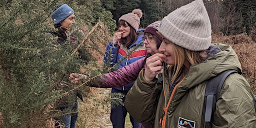 Primaire afbeelding van Two-Day Foraging Experience