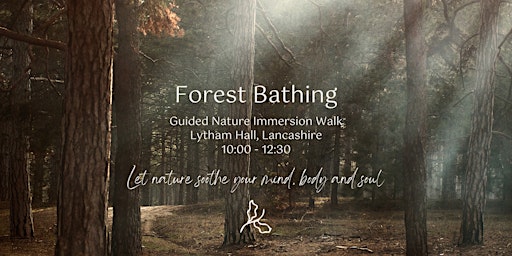 Hauptbild für Guided Forest Bathing Experience