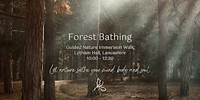 Hauptbild für Guided Forest Bathing Experience