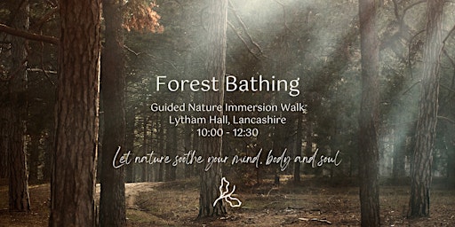 Guided Forest Bathing Experience