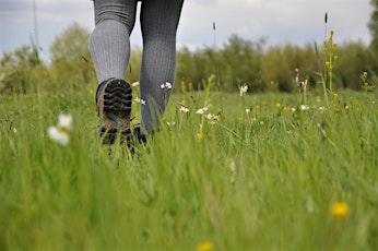 Local Volunteer Event: Royal Victoria Country Park, Netley, & Hamble Walk