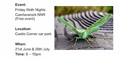 Friday Moth Night primary image