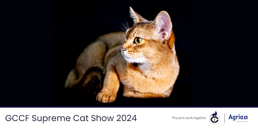 Imagem principal do evento The GCCF's 46th Annual Supreme Cat Show