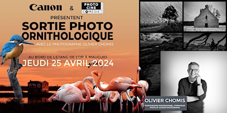 Imagem principal de Photos d'oiseaux by Canon : RDV le 25/04/2024 à Mauguio