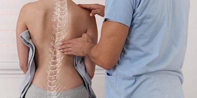 Imagem principal de Chiropractic Posture Checks & Wellness Pack