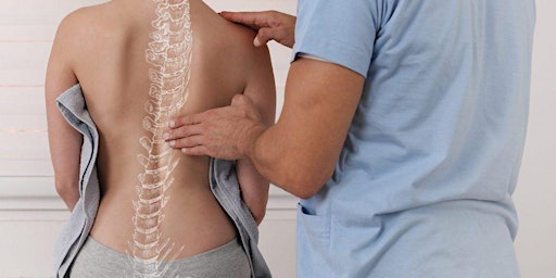 Imagen principal de Chiropractic Posture Checks & Wellness Pack