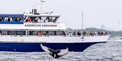 Primaire afbeelding van Paul's Whale Jam: American Princess Benefit Whale Watch