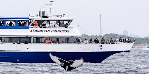 Image principale de Paul's Whale Jam: American Princess Benefit Whale Watch