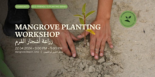 Imagem principal do evento Mangrove Planting Series