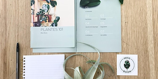 Imagem principal de Atelier horticole - Plantes 101